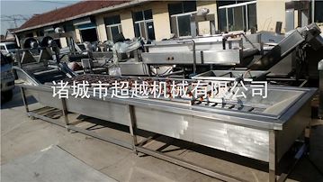 水果蔬菜氣泡清洗機(jī) 連續(xù)氣泡清洗設(shè)備廠(chǎng)家批發(fā)